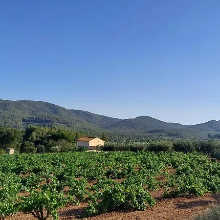 Cal Marti El Pla de Manlleu